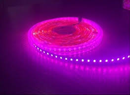 240LED/m 12V Flexible Light Strip, 5m