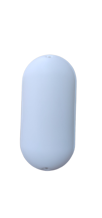 20W Capsule bulkhead light for wall and ceiling