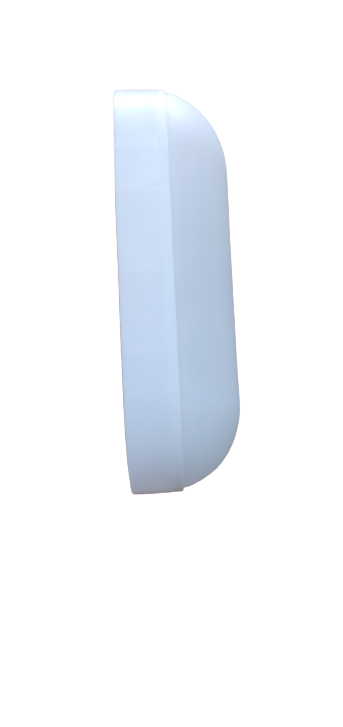 20W Capsule bulkhead light for wall and ceiling