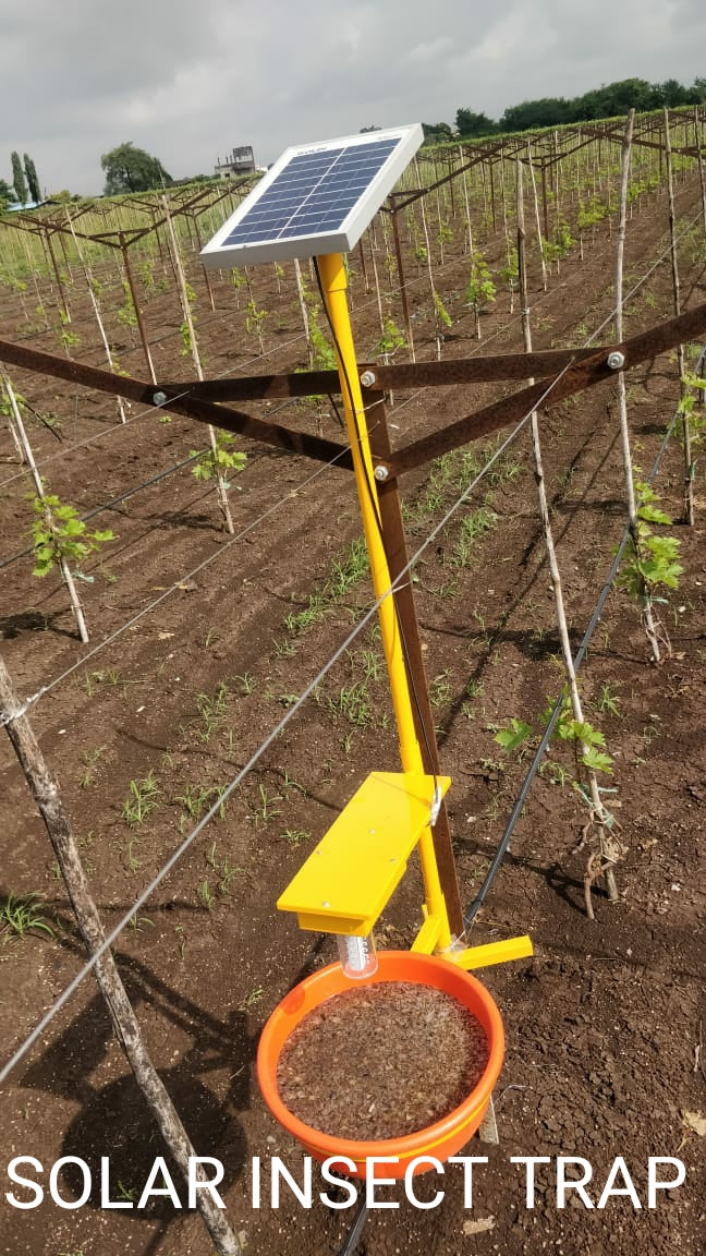 Automatic solar UV insect trap for farmers