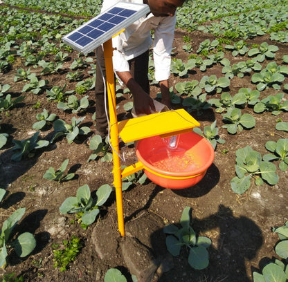 Automatic solar UV insect trap for farmers