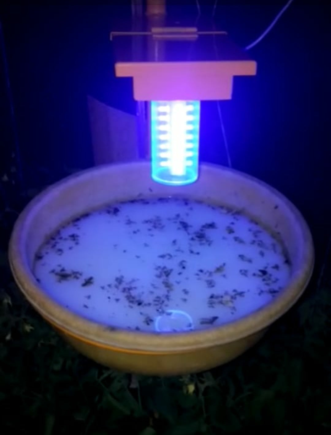 Automatic solar UV insect trap for farmers