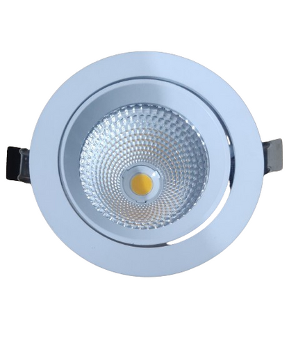 Ecopacer 30W adjustable angle COB focus spot light