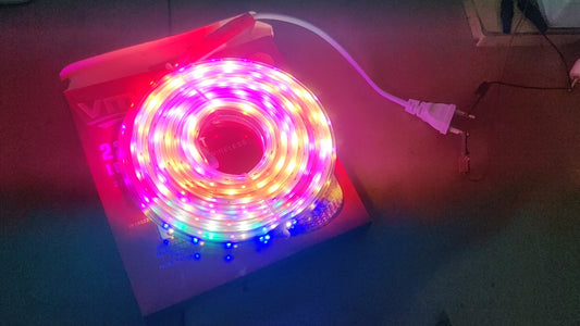 8 meter multi color running Rope Light Waterproof High Brightness For Indoor/Outdoor Use (Pack of 01)