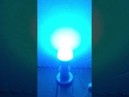 Multi colour auto changing bulb- 01 piece( PREPAID ONLY)